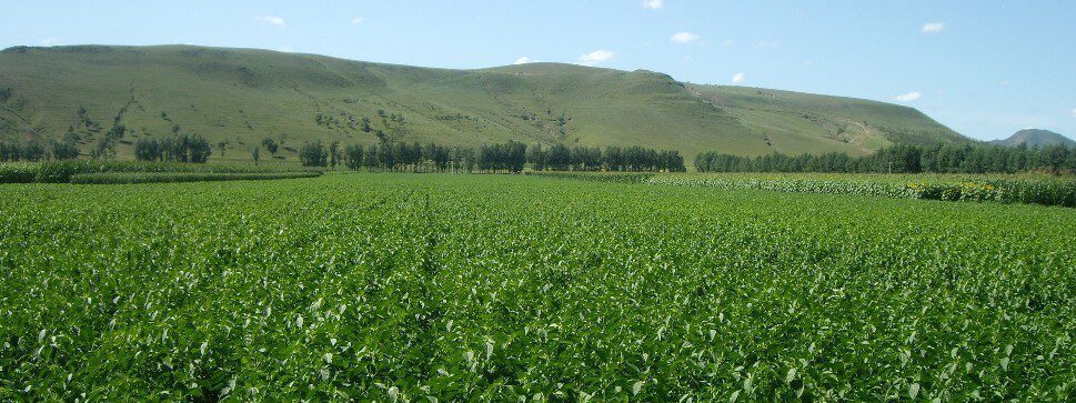 Plantingbase organicway-organic-farm