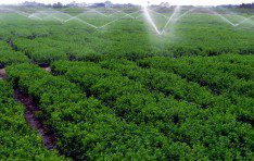 Plantingbase
