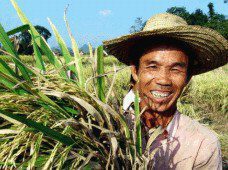 Plantingbase