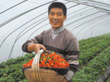 Plantingbase