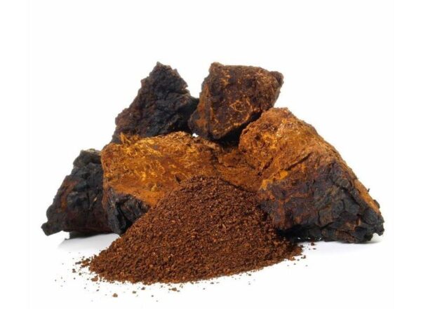 poudre de chaga bio