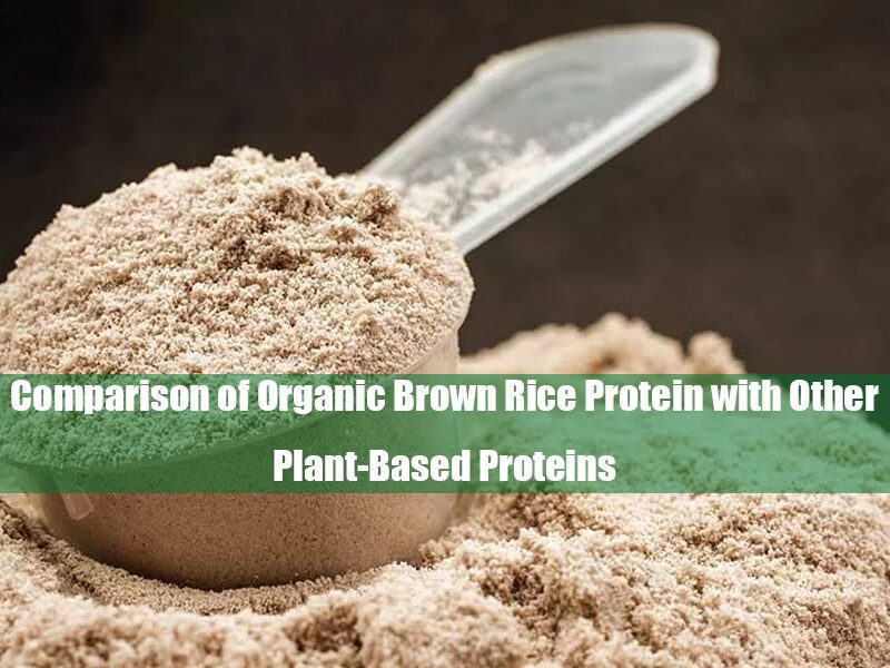 Comparison of Organic Brown Rice Protein with Other Plant-Based Proteins