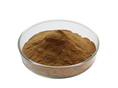 Oranic Maitake Mushroom Extract Powder