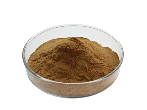Oranic Maitake Mushroom Extract Powder
