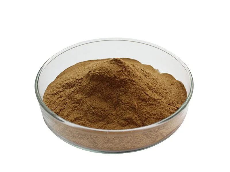 Maitake Mushroom Extract Powder Oranic Maitake Mushroom Extract Powder