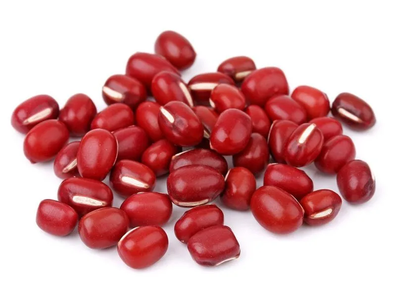 Adzuki Bean Organic Adzuki Bean
