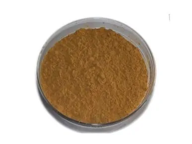Organic Agaricus Blazei Murill Extract Powder