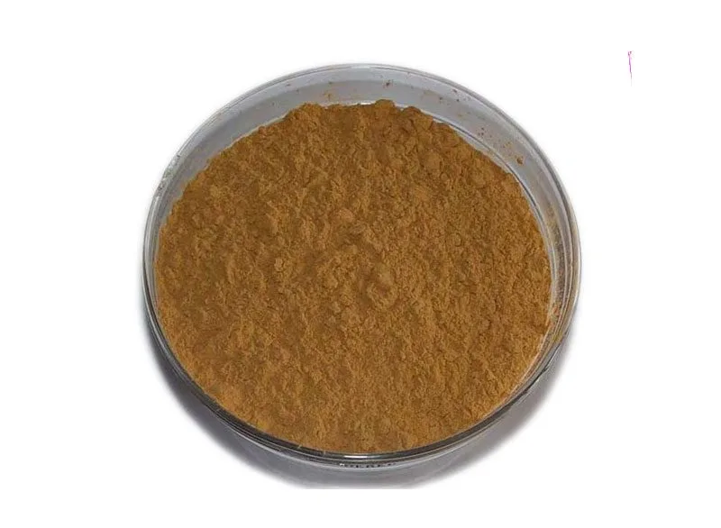 Organic Agaricus Blazei Murill Extract Powder Organic Agaricus Blazei Murill Extract Powder