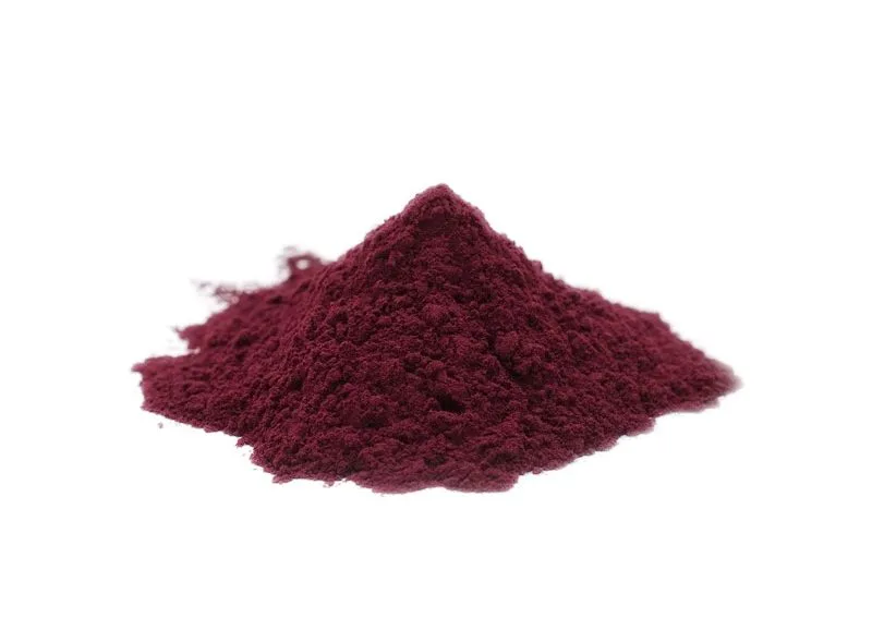 Bilberry Extract Organic Bilberry Extract