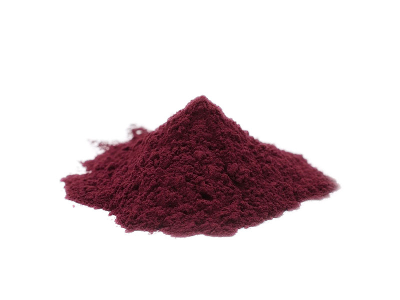 Bulk Organic Bilberry Extract manufacturer supplier ORGANICWAY