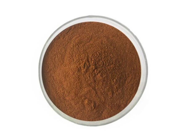 Polvo de extracto de té negro orgánico