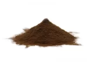 Estratto di Ganoderma Lucidum Biologico in Polvere