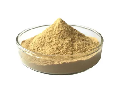 Organic Ginger Extract Powder
