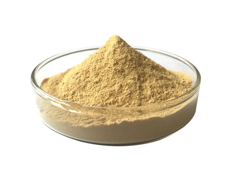 Premium Organic Ginger Extract Powder Bulk Manufacturer & Supplier