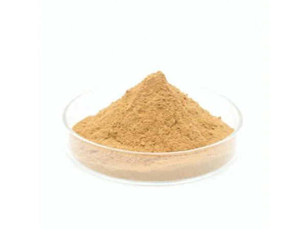 Organic Ginkgo Biloba Extract Powder