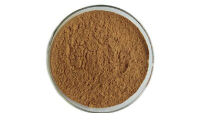 Organic Linden Flower Extract Powder