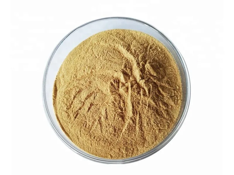 Oats Extract Powder Organic Oats Extract Powder