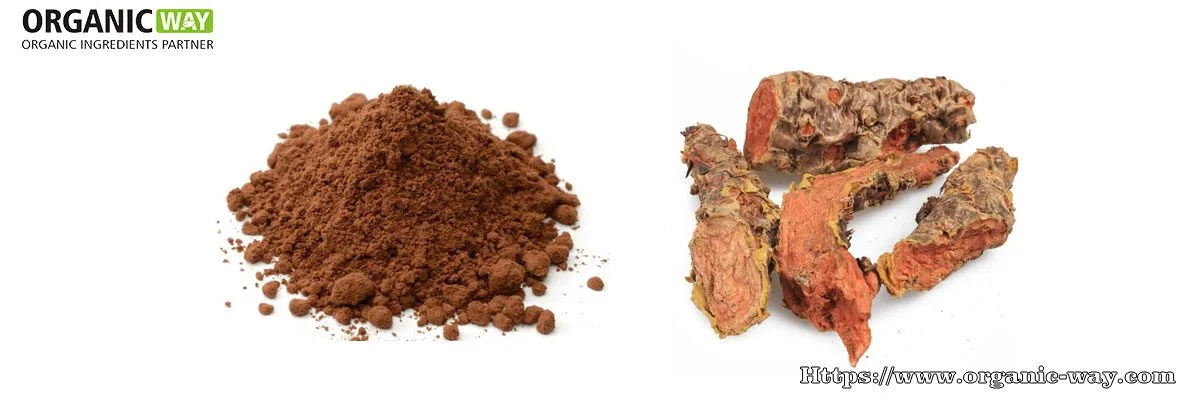 Polvo de extracto orgánico de Rhodiola Rosea Polvo de extracto orgánico de Rhodiola Rosea