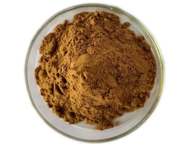 Salvia Miltiorrhiza Extract Powder Organic Salvia Miltiorrhiza Extract Powder