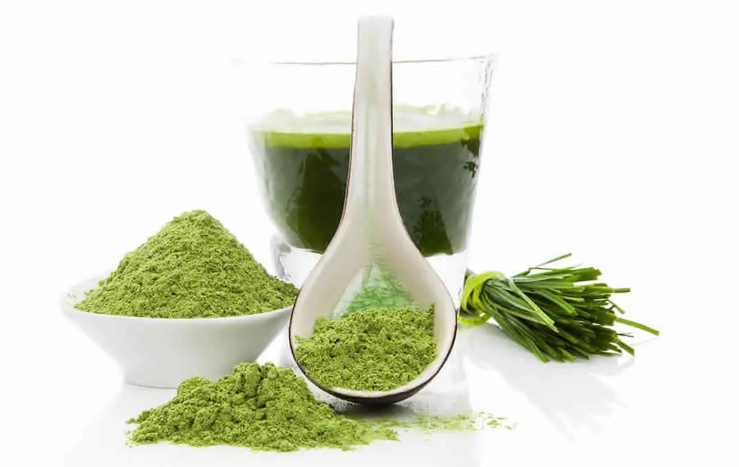 Organic-Wheat-Grass-Powder