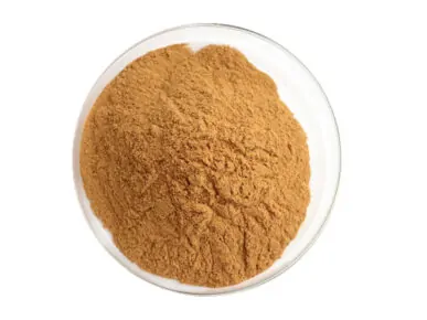 Organic White Tea Extract Powder