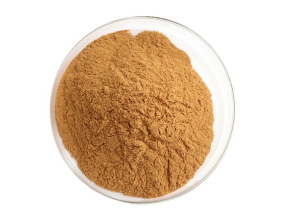 Estratto di tè bianco biologico in polvere
