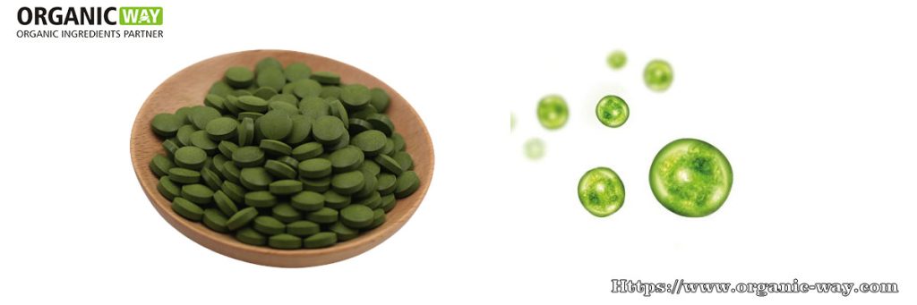 organic chlorella tablets