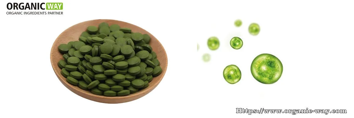 Tabletas de Chlorella Orgánica Tabletas de Chlorella Orgánica