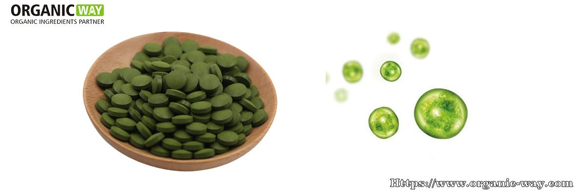 Tabletas de Chlorella Orgánica