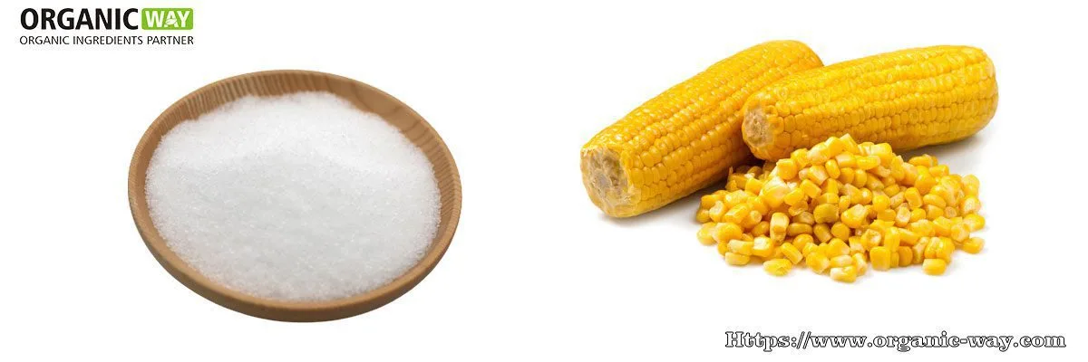 Organic Dextrose Powder Dextrose Powder