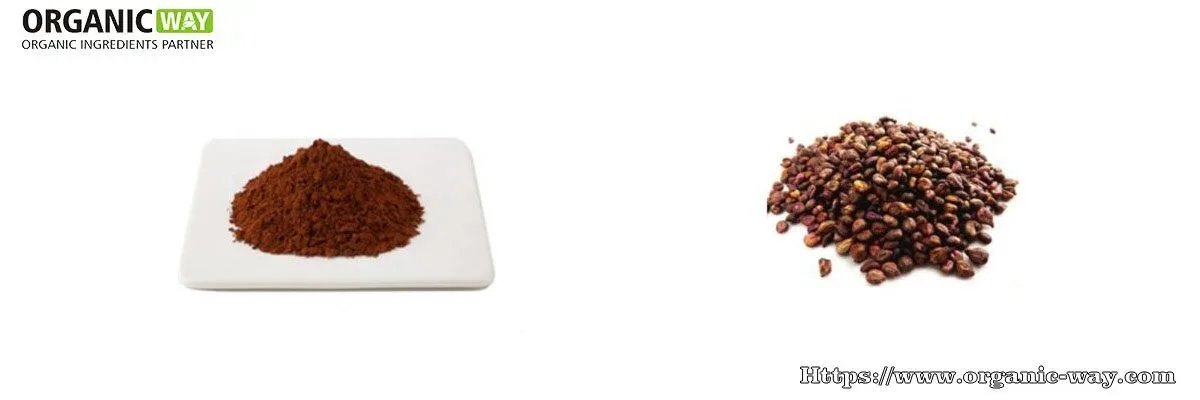 Organic Grapeseed Extract Powder organic grapeseed extract powder