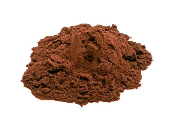 Polvere Di Estratto Di Fungo Chaga Biologico