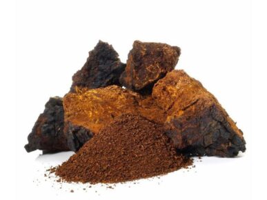 poudre de chaga bio