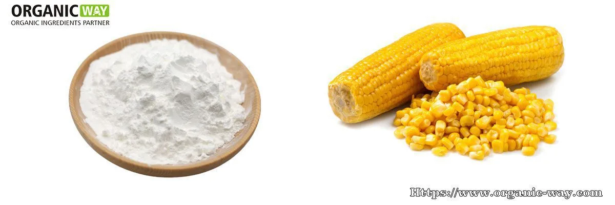 Amido di mais biologico