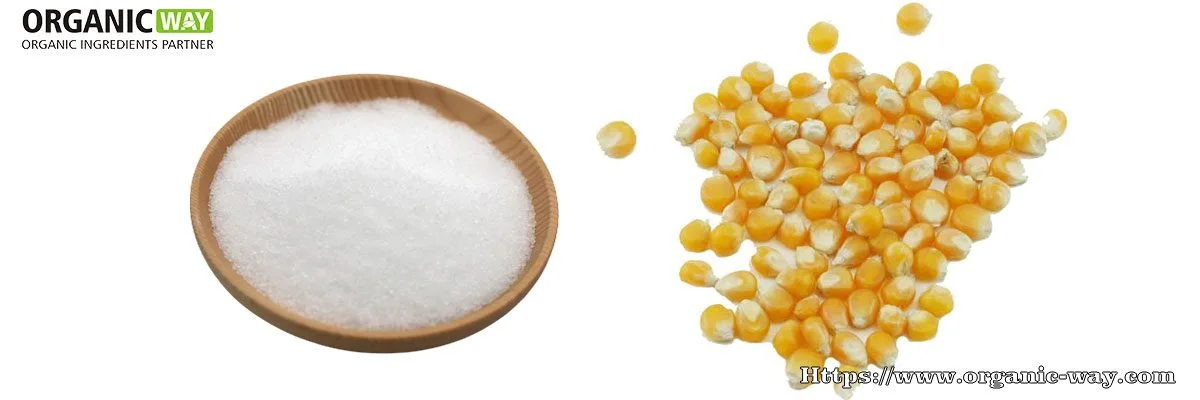 Eritritol orgánico Polvo de eritritol orgánico