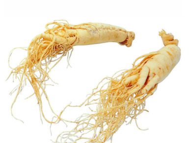 ginseng fresco biologico