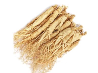 radice di ginseng biologico