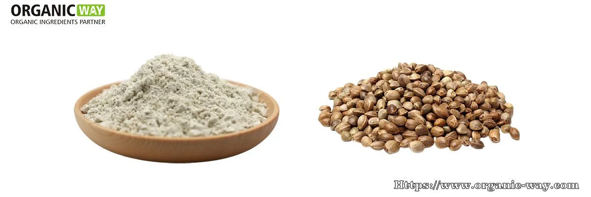 Polvo de proteína de cáñamo orgánico proteína de cáñamo orgánico