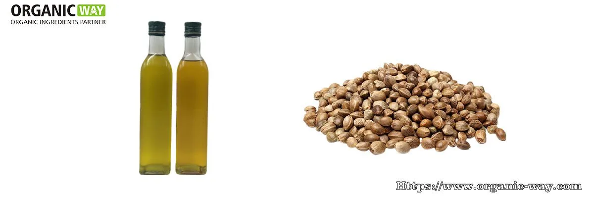Aceite de semilla de cáñamo orgánico Aceite de semilla de cáñamo orgánico
