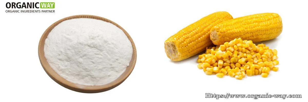 Organic Maltodextrin Powder Organic Maltodextrin And Raw Material