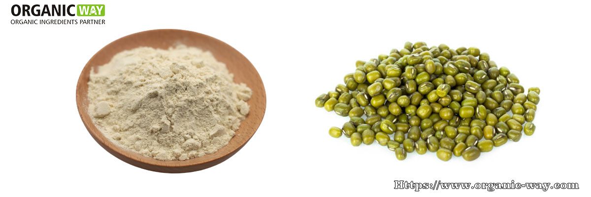 Organic Mung Bean Protein Powder organic mung bean protein