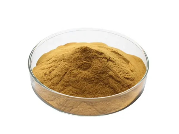 Ginseng Rosso Biologico In Polvere