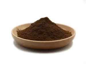 Organic Reishi Extract Powder