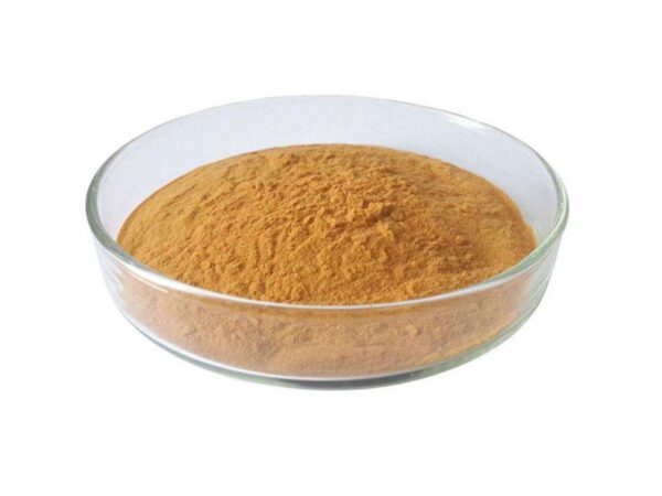 organic shiitake mushroom powder