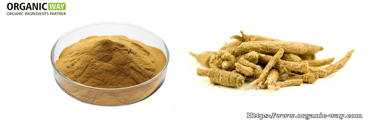 Estratto di Ginseng siberiano biologico in polvere Estratto di Ginseng siberiano biologico in polvere