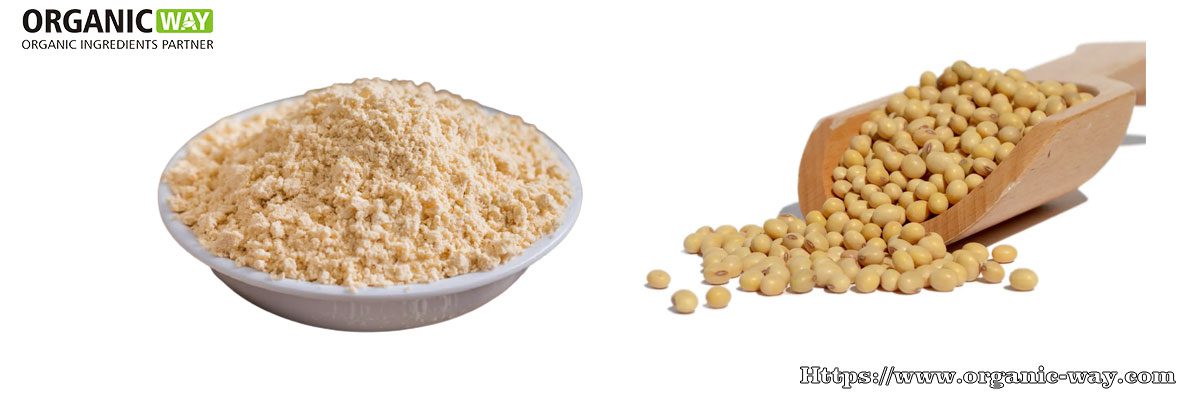 Poudre de protéine de soja biologique