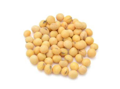 organic soybean