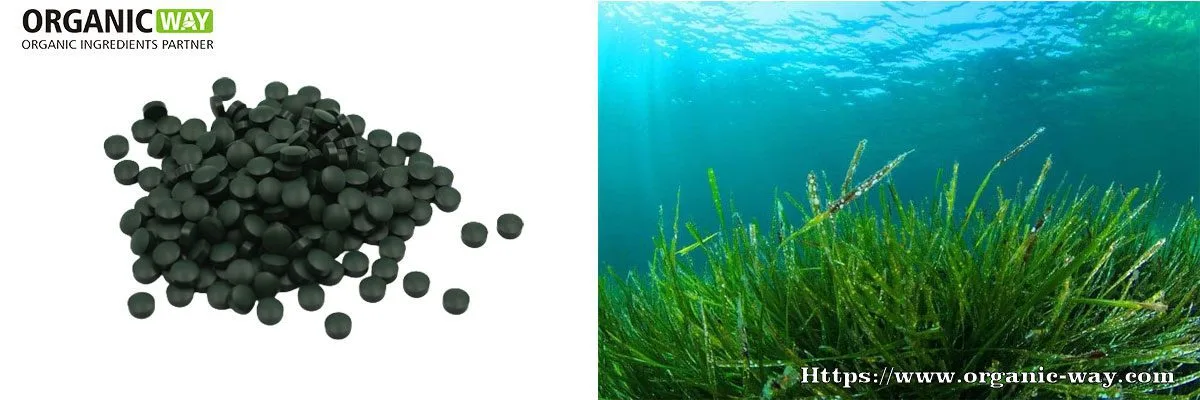 Bio-Spirulina-Tabletten Bio-Spirulina-Tabletten