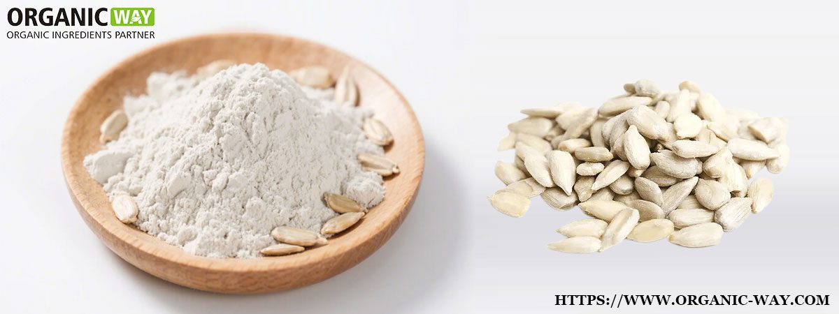 Organic Sunflower Seed Protein Organic Sunflower Seed Protein