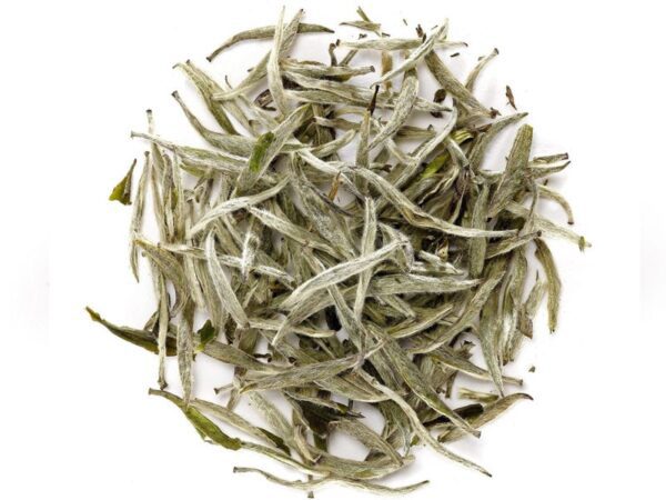 té blanco orgánico